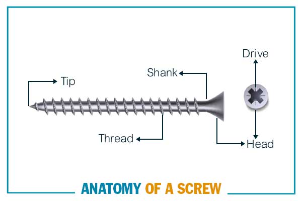 Anatomy-of-a-screw